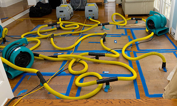 Professional Crawl Space Water Removal technician working in Pine Island, TX